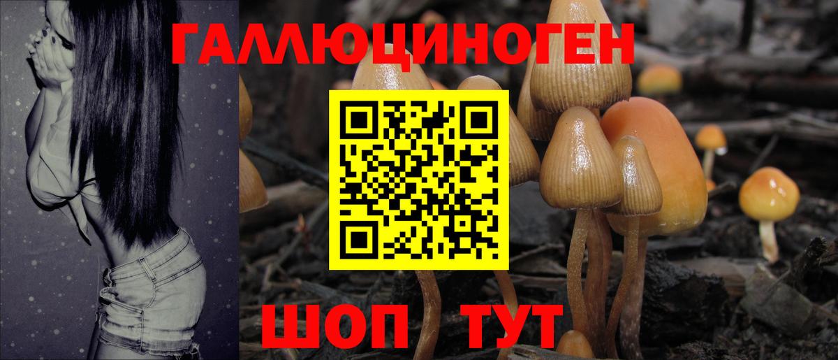 Мурино  Псилоцибиновые грибы Psilocybine cubensis  Вход с VPN 